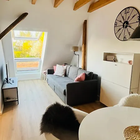 Gemuetliches Dachstudio Bei Frankfurt & Darmstadt - 5 Min Zur S-bahn Apartment